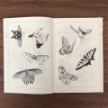 Adult Coloring Book 94 Pages Hundred Butterflies Chinese Line Drawing Collection Stress Relief And Relaxation Art Painting Book. 