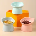 Tilted Cat Food Bowl Cat Food Dish Ergonomic Raised Cat Food Bowl Anti Vomiting Plastic Feeding Bowl Non Slip Pet Supplies. 