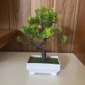 Garden Arrangement Ornaments Plastic Plants Bonsai Small Tree Pot Fake Plant Potted Flower Home Room Table Decoration. 