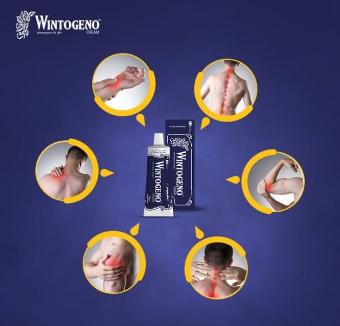 Wintogeno%20Balm%20for%20Use%20Pain%20Relief%20Joint%20Pain%20-%20Image%207