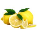 Lemon plant. 