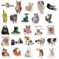 50PCS Creative Network Popular Cat Meme Collection Hand Account DIY Graffiti Stickers Water Cup Skateboard Stickers Toys. 