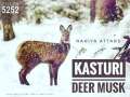 KASTURI Deer Musk- attar. 