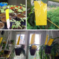 30/50 pcs Yellow Double-sided Flying Insect Catching Control Sticker Insects Glue Sticky Board Trap for Greenhouse Home Garden. 
