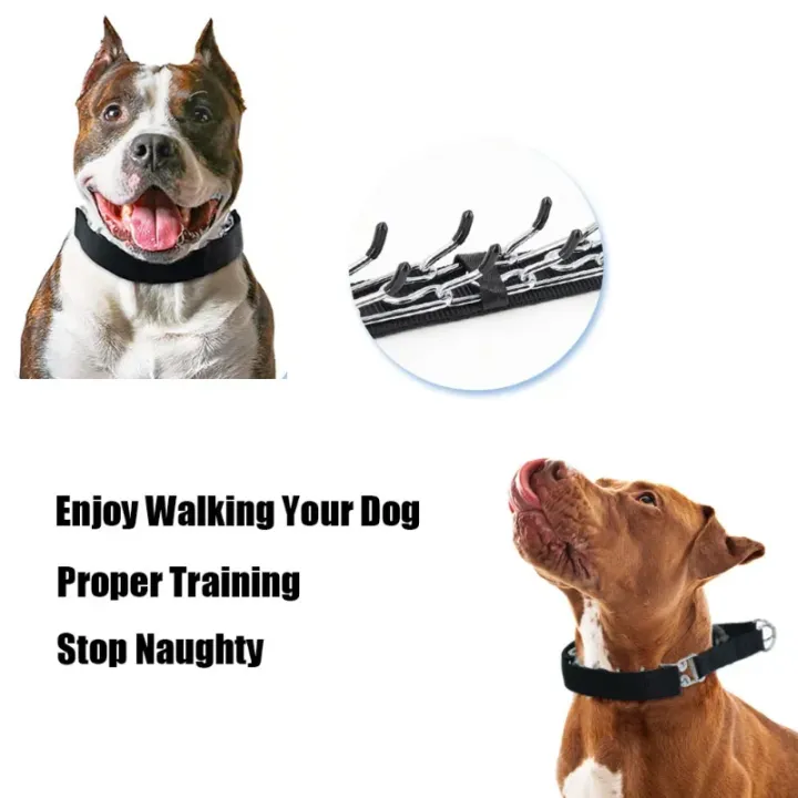 Dog%20Training%20Collar%20Prong%20Collar%20with%20Quick%20Release%20Buckle%20&%20Nylon%20Cover%20Pet%20Dog%20Spike%20Pinch%20Collar%20-%20Image%204