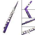 SLADE 16 Holes C Tone Flute With E Key Purple Professional Woodwind Instrument Closed Key Cupronickel Tube Flute Beginner Kit.