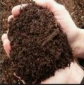 Organic Compost Pack of 1 2 3 5 Kg. 