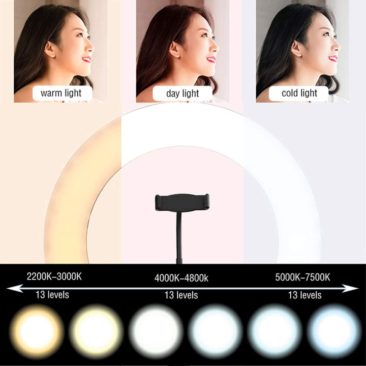 10%20Inch%20LED%20Ring%20Light%20Photographic%20Selfie%20Ring%20Lighting%20with%20Phone%20Holder%20for%20Tiktok%20Youtube%20Makeup%20Video%20Live%20Studio%20Ring%20Lamp%20-%20Image%206