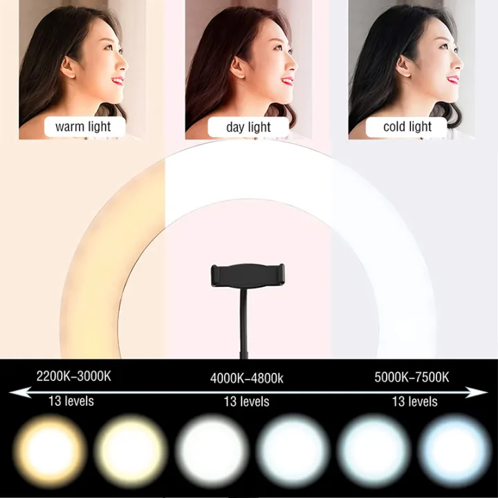 10%20Inch%20LED%20Ring%20Light%20Photographic%20Selfie%20Ring%20Lighting%20with%20Phone%20Holder%20for%20Tiktok%20Youtube%20Makeup%20Video%20Live%20Studio%20Ring%20Lamp%20-%20Image%206