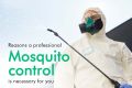 Mosquito Fogging / Dengue Control / Mosquito Control For Exterior Area Of House. 