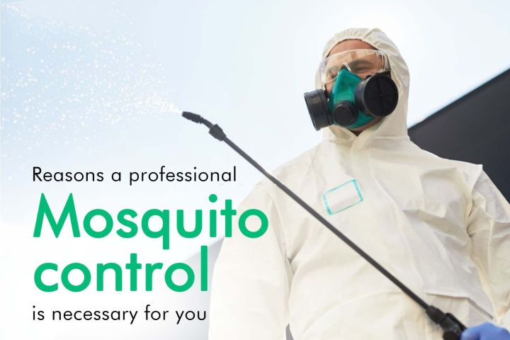 Mosquito%20Fogging%20/%20Dengue%20Control%20/%20Mosquito%20Control%20For%20Exterior%20Area%20Of%20House%20-%20Image%206