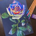 Cretacolor Fine Art Pastel Pencil Sets. 