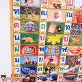 Thai alphabet poster Thai chicken Thai brothers (orange). 