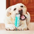 Dog Toy Teething Stick Chewable Teeth Cleaning Bones Dog Toothbrush TPR Safe Puppy Dental Care Cleaning Toys Supplies. 