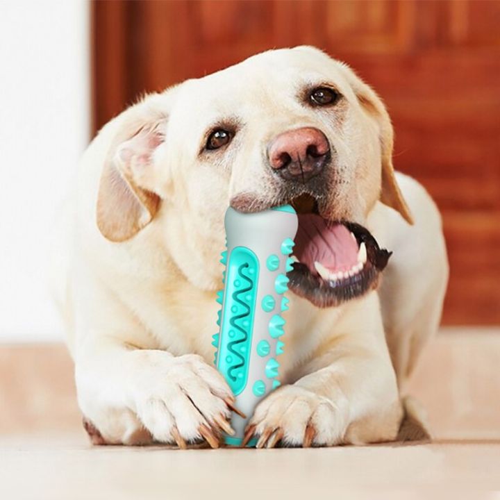 Dog%20Toy%20Teething%20Stick%20Chewable%20Teeth%20Cleaning%20Bones%20Dog%20Toothbrush%20TPR%20Safe%20Puppy%20Dental%20Care%20Cleaning%20Toys%20Supplies%20-%20Image%202