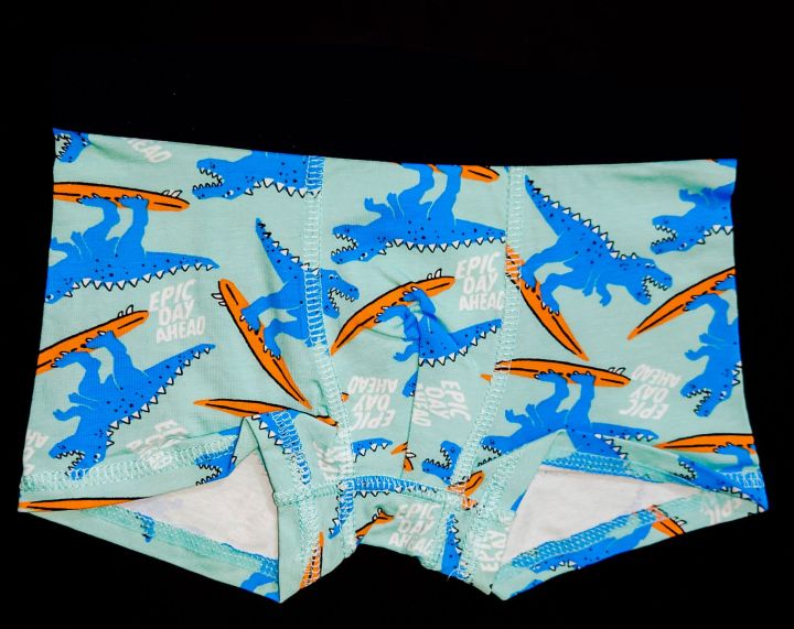 Kid's Boy's Boxer Shorts, Short Pant