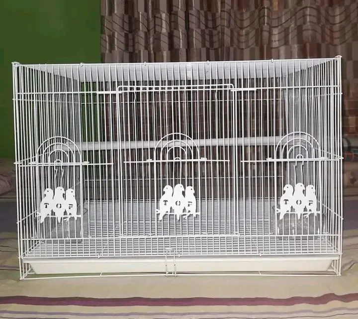 Fresh Look at Box Pattern Bird Cage With Two Side Food Tray Compartment