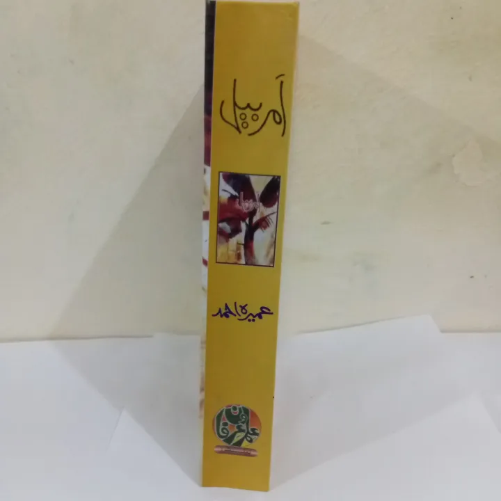 Amarbail%20by%20Umera%20Ahmed%20best%20selling%20urdu%20reading%20book%20-%20Image%203