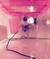 24 fertile eggs small semi automatic 220v domestic supply incubator brooder chicks hatching educational easy accurate manual works also on ups and generator. 