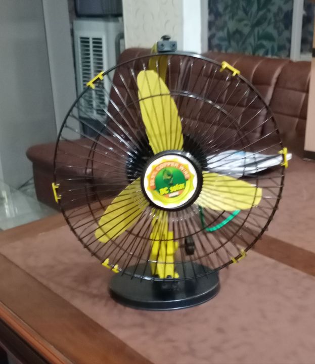 DC 12 volt Fan 12 inch