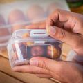 Outdoor Shockproof Egg Box Storage Box, Portable Camping Shatterproof Egg Tray, Home Plastic Protection Box, Travel Shatterproof.