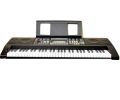 Trinity PA-75X 61-Keys Electronic Keyboard. 