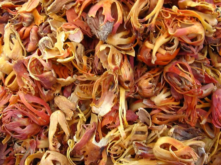 NACHT%20Hand%20Picked%20Nutmeg%20Mace%20-%20Javitri%20-%20Japatri%2025,Gram%20-%20Image%202