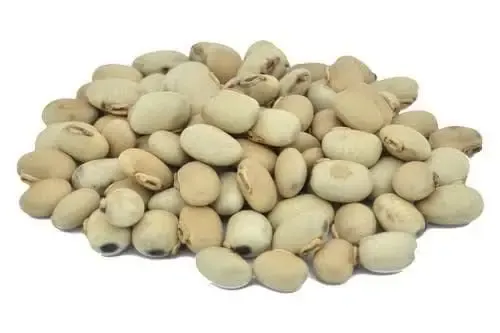 Tukhme%20Konch%20%7C%20Konch%20seeds%20%7C%20Velvet%20Bean%20%7C%20Konj%20Safaid%20%7C%20100gm%20-%20Image%202