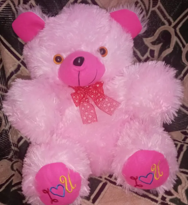 cute teddy bear 🧸 | Daraz.lk