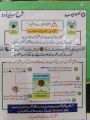 Sharh Sarmaya Urdu Class 11 (XI) Solved Guide - Punjab Boards & PECTAA Syllabus | Captain Series New Edition 2025. 
