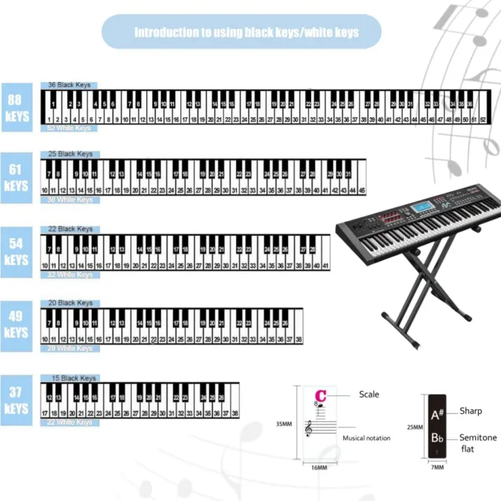 Miwayer%202Pcs%20Piano%20Key%20Stickers%2037%20to%2088%20Key,Removable%20Piano%20Keyboard%20Note%20Labels,Suitable%20for%20Beginners%20to%20Practice%20Piano%20-%20Image%202
