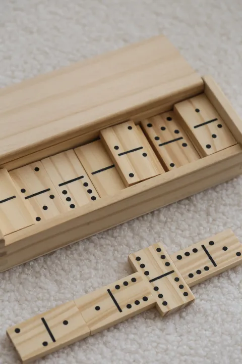 Wooden Domino Set in Box – Classic Family Board Game 🎲 | Daraz.pk