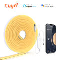 DC 5V USB Neon Light LED Strip Tuya Smart Life Wifi App Control Neon Tube Tape Garden Xmas DecorWork with Alexa, Home. 