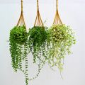 Hanging Orchid Planter Bamboo Woven Orchid Hanging Baskets with Metal Hook Plant Hangers for Indoor Outdoor Small Flower Planter. 