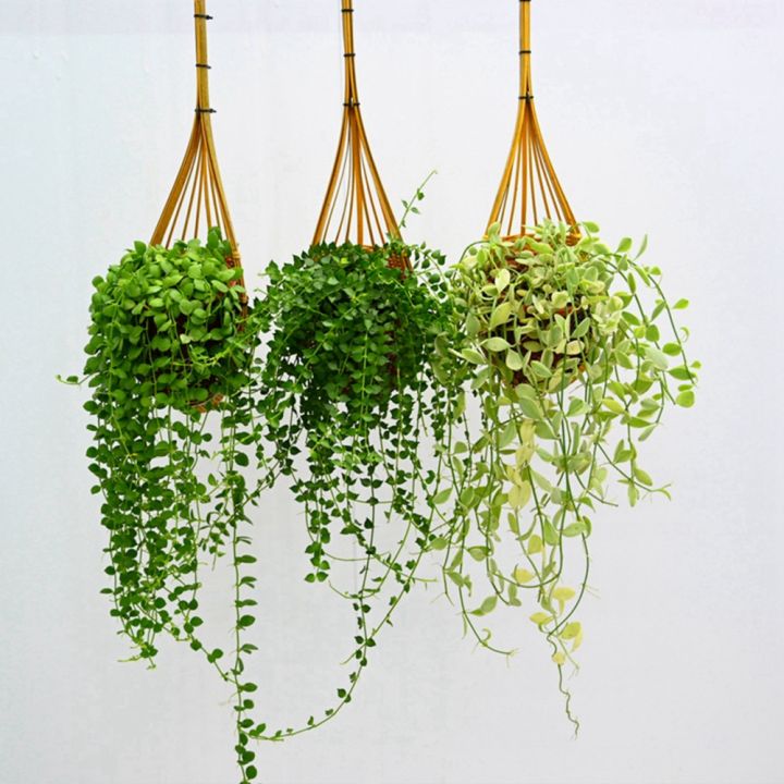 Hanging%20Orchid%20Planter%20Bamboo%20Woven%20Orchid%20Hanging%20Baskets%20with%20Metal%20Hook%20Plant%20Hangers%20for%20Indoor%20Outdoor%20Small%20Flower%20Planter%20-%20Image%204