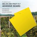 10 Pieces/set Fruit Fly and Slime Board Insect Traps, Fruit Orchard, Melon Garden, Farm, Household Insect Traps.