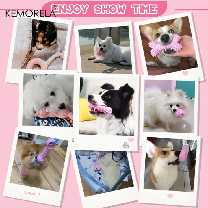 6%20PCS%20Dog%20Chew%20Toys%20For%20Cleaning%20Teeth%20%20Soft%20Rubber%20Bone%20Funny%20Ball%20Interactive%20Donut%20Treat%20Set%20For%20Small%20Medium%20Dogs%20Pet%20Gifts%20-%20Image%205