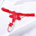 T SHAP FRONT EMBROIDERY AND BACK NET FANCY PANTY. 