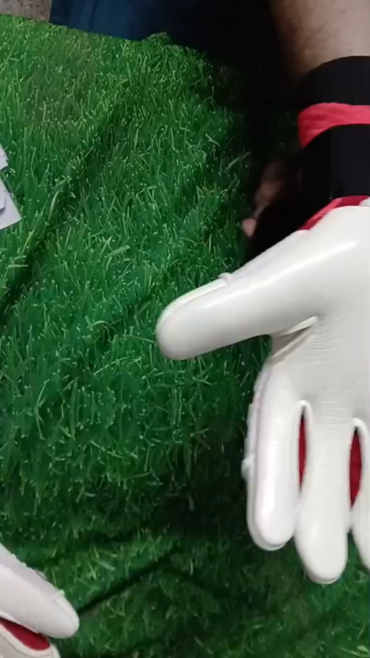 goalkeeper gloves