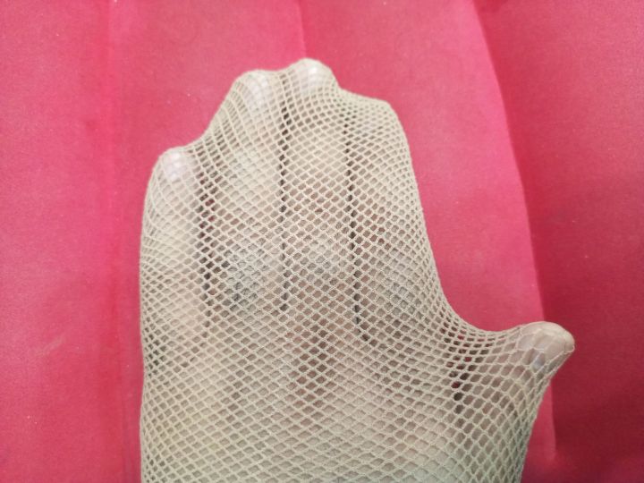 Mesh%20Lace%20Net%20Socks%20For%20Women%20Skin%20-%20Image%206