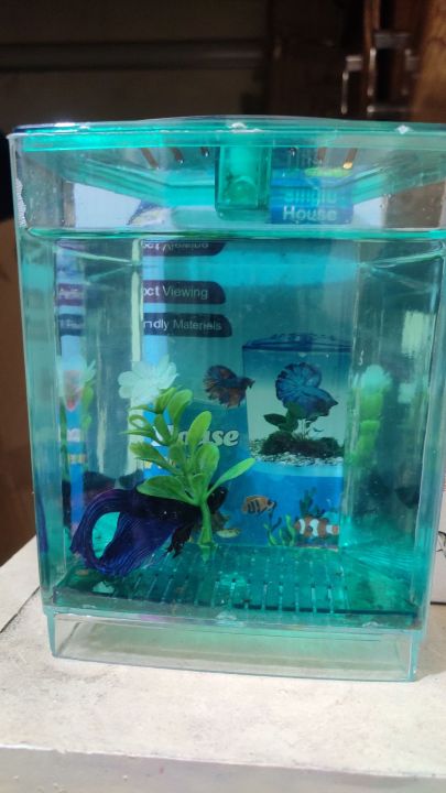Betta%20House%20(Single%20House%20With%20Light)%20For%20Fish%20-%20Image%202