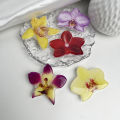 Phone Holder Folding Ring Phone Support Popular Style Internet Celebrity Orchid Acrylic Socket Grip Cymbidium Custom.