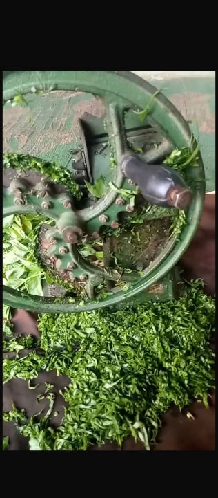 Saag%20&%20palak%20and%20Mathe%20and%20vegitable%20Cutter%20toka%20Machine%20-%20Image%203