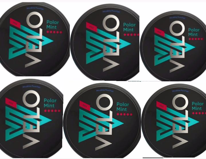velo mint 5 dot pack of 6