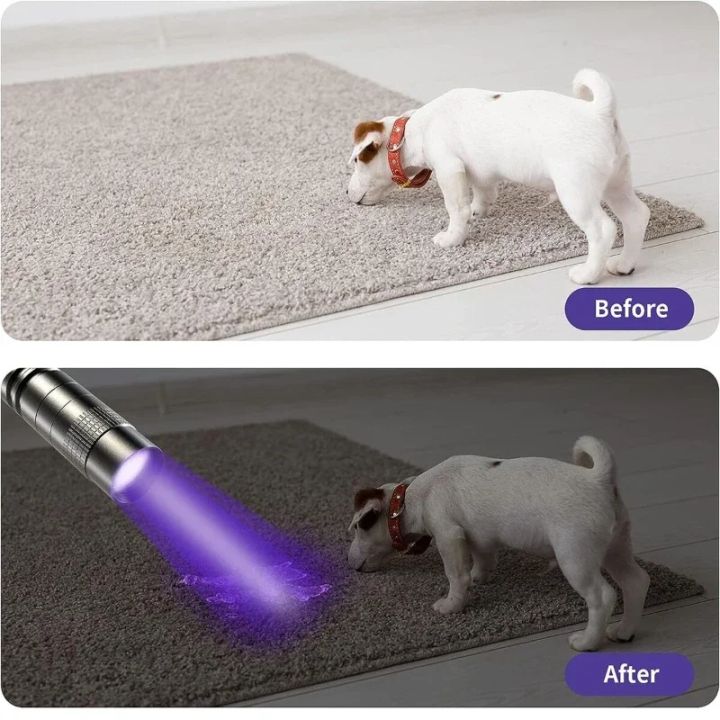 Mini%20LED%20Flashlight%20Portable%20Violet%20Light%20Pet%20Urine%20Scorpion%20Detector%20UV%20Lamp%20UV%20Flashlight%20395nm%20Ultraviolet%20Torch%20With%20-%20Image%204