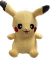 Pikachu Stuffed Toy. 