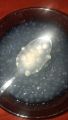 Sagu or sabudana from tree. Transparent sabudana for everyone. baby solid food sagu is best organic and othentic food ২৫০ gram..
