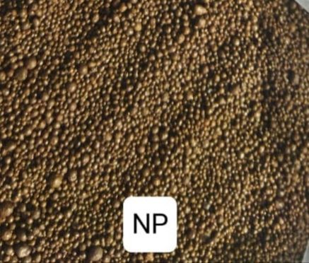 Nitro Phos 15:10 NP imported 1 kg best for gardening & lawn
