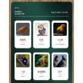 NEW Bird insect repellent parrot supplies in addition to feathers, lice, mites, sterilization, in vitro insect spray. 
