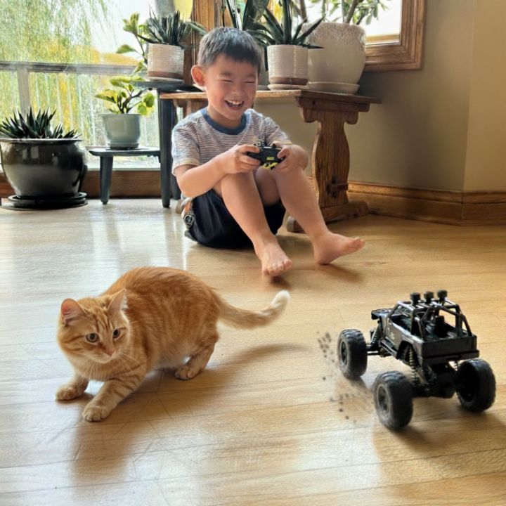 Recharge%20toy%20remote%20control%20car%20off%20road%20vehicle%20%20RC%20monster%20truck%20mist%20spray%20smock%20jeep%20%20truck%20-%20Image%205